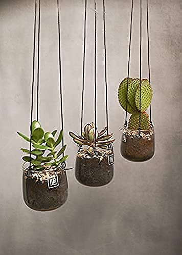 Ilpo Lifestyle Plant Hanger Succulents Cactus Air Plants Terrarium Boho Candles Hanging Pot Macrame Alternative Indoor Outdoor Fake Real Plants Home Decor Glass Modern Minimalist 2 Piece Set #TOP5