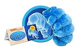 Giantmicrobes - Peluche Microbio gigante - Versión llavero Key Ring Oso de agua (Waterbear)