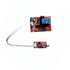 Taidacent 12V Voice-Activated Delay Switch Sound Detection Relay Module Sound Sensor Module Voice Alarm