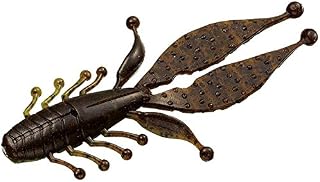 Evergreen Worm Kicker Bug