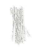 Kikkerland Biodegradable Paper Straws, Birch