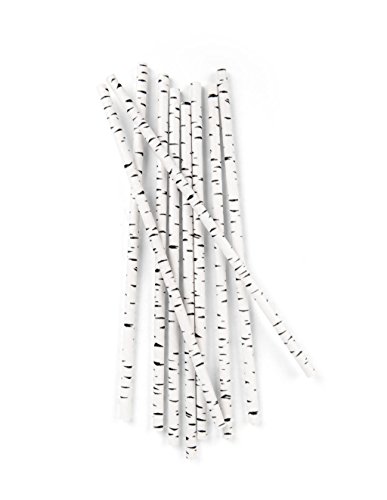 Kikkerland Biodegradable Paper Straws, Birch #TOP6