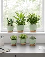 Bamworld Blumentöpfe 6 Set Selbstbewässernd Grün 12.7cm/14cm/15.2cm/16.5cm/17.8cm/20.3cm Blumentopf Pflanzentopf mit Untersetzer,Anzuchttöpfe,Zimmerpflanzen,Fensterbank deko – Ansicht 2