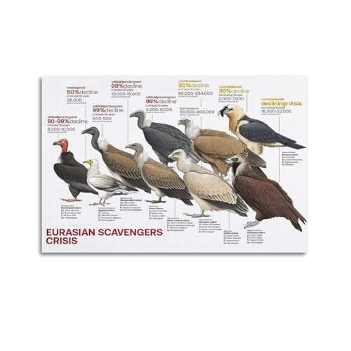 HNPBB - HNPBB Poster mit Vogelbiologie, Motiv: Eurasische Schnitzer, Krise, Poster, dekoratives Gemälde, Leinwand, Wandposter und Kunstdruck, moderne Familienschlafzimmer-Dekoration, Poster, 60 x 90 cm