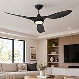 Roomratv 52-Inch Modern DC Fan