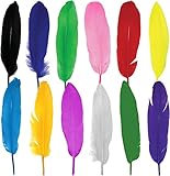 Plumas Manualidades Decoración de Colores para Fiesta, Plumas Carnaval Decorativas India para Manualidades, 120pcs (Talla única, COLOR MIXTO)