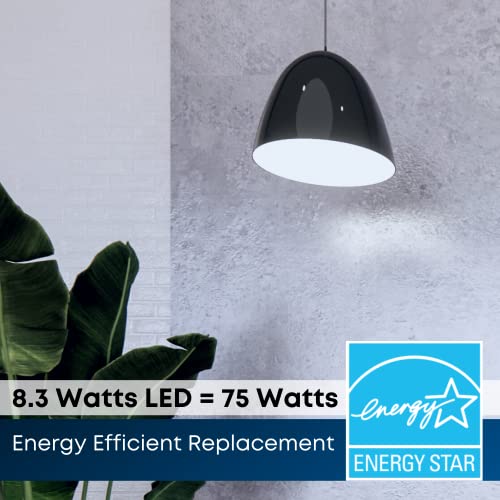 Feit Electric LED PAR30L Bulbs, 75W Equivalent, Dimmable, 3000K Bright White, 750 Lumens, 22 Year Lifetime, E26 Base, PAR30 Flood Lights, Spotlight Bulb,Weatherproof, 2 Pack, PAR30LDM/930CA/2 by Feit Electric - Image 6