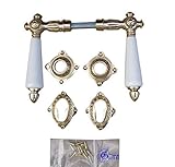 Antik Messing Graf von Gerlitzen PZ Rosetten Türgriffe Türbeschläge Türdrücker PZP