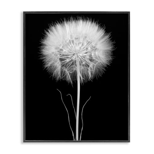 Modern Fluffy Dandelion Stem, 11 x 14 Inch Framed Giclée Print