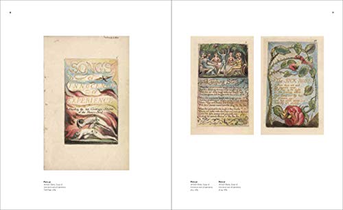 William Blake: Visionary