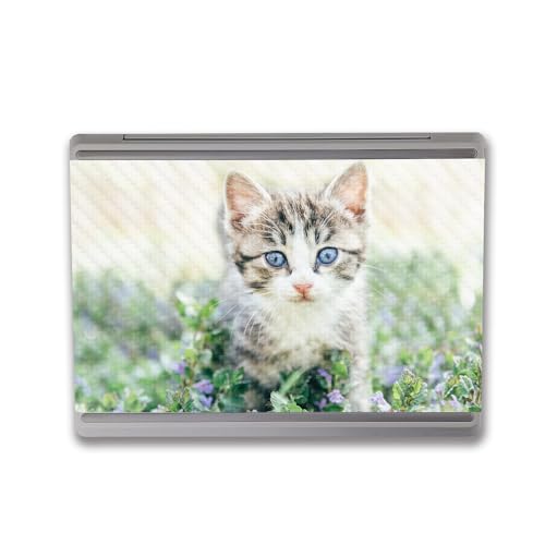 Image of MightySkins Carbon Fiber Skin Compatible With Microsoft Surface Laptop Go 3 (2023) Full Wrap Kit - Blue Eyed Kitten | Protective, Durable Textured Carbon Fiber Finish | Easy To Apply | Made in the USA