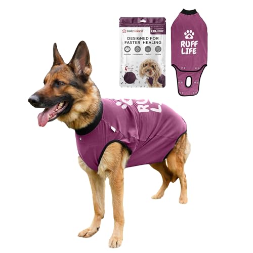 BellyGuard Dog Surgery Recovery Suit, Male Female After Spay Neuter Onesie by BellyGuard - Used condition - US$20.58