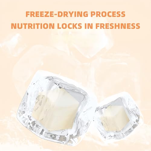 6oz Freeze Dried Tofu Low Sugar, 170g Natural Snack, Keto Friendly, Gluten Free Delicious Tofu, - Thumbnail 4