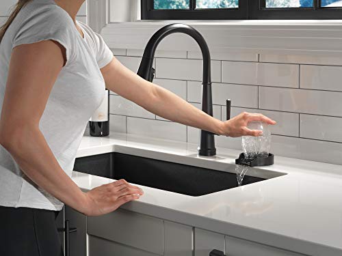 Delta faucet Metal Glass Rinser by DELTA - Image 9