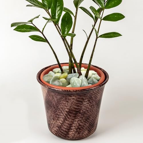 FANTIAN 20 lbs Jade River Rocks for Landscaping, 1-2 Inch Decorative Pebbles River Stones for Plants Indoor, Vases, Yard, Crafting and Garden by FANTIAN - Image 8