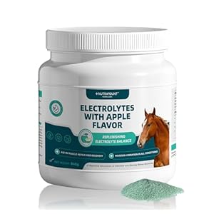 Electrolytes Powder with Apple Flavor Hydration Supplement Replenish Lost Electrolytes During Exercise – 840g