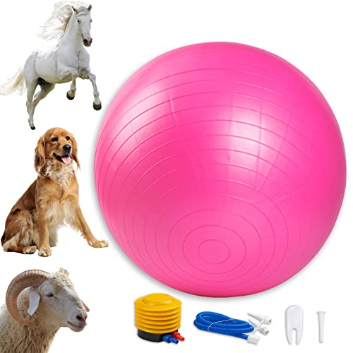 Capuca Large Horse Balls For Play - 30 Inch Anti-Burst Mega Herding Ball Giant Horse Ball For Dogs Goats Horses To Play With Pump Included (Pink) #TOP27