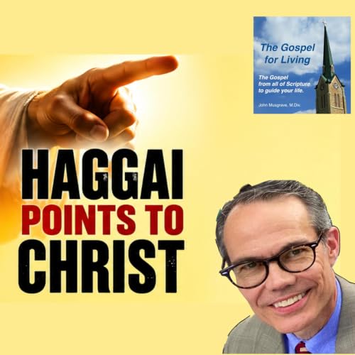 A Study in Haggai | The Temple, Zerubbabel, and Christ's Church