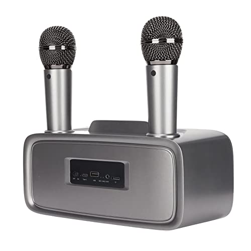 Máquina de karaokê Com 2 Microfones Sem Fio, Suporte Portátil para de Alto-falante PA USB/AUX/SD par