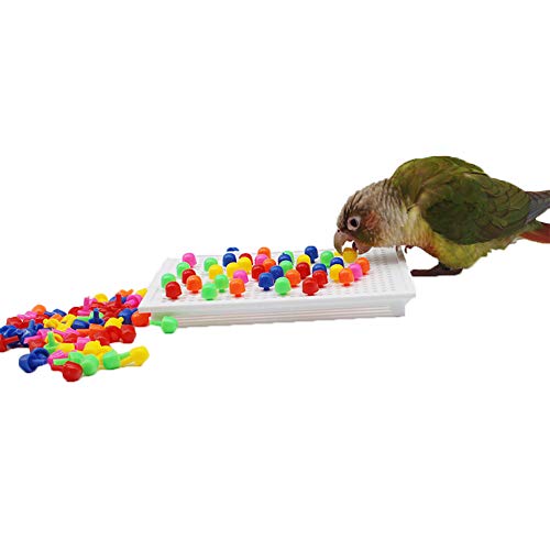 QBLEEV Parrot Puzzle Toys for Parakeets, Cockatiel & Conure - Bird Intelligence Training & Foraging Toys