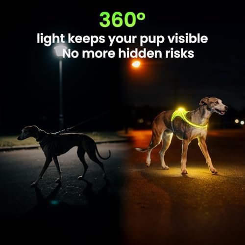 Xlife Light Up Dog Harness for Medium Dogs - Reflective LED Vest