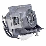 HOSECES Lampadina di ricambio RLC-108 con alloggiamento adatto per VIEWSONIC PA503X PA500S PA502ES PA502XE PA503S PA503SP PA503XP PG603X PS501X PS600X VS16905 VS16909 Lampada del proiettore