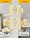 Goldenwarm Gold Exterior Door Knob with Deadbolt, Square Contemporary Brushed Gold Exterior Door Lock Set, Heavy Duty Brass Front Entry Door Locksets (1 Pack)