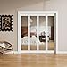 Lioncode Bifold Closet Door for 48