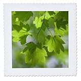 Square dimensions (in inches): 6 L x 6 W, image dimensions (in inches): 4 L x 4 W 100% poloyester; image is soft to touch. Made in USA Edges have pinking shear cut Image will not fade with washing. Image not a transfer, part of material