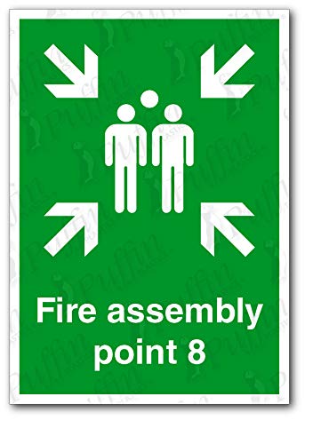 Fire Assembly Point 8 Sign (Rigid Plastic, A4)