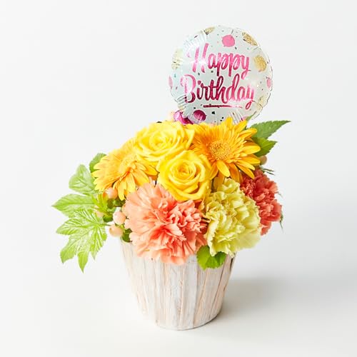 bloomee(u[~[) ̂܂܏ AWg  STCY ( HappyBirthdayo[ t )  ~j ԑ ( Mtg v[g j ) ސEj j Ǝ JXj t[Mtg ( ԕrsv 炸 