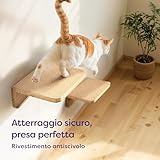 Knupis B0DFH2LT96 lato 3