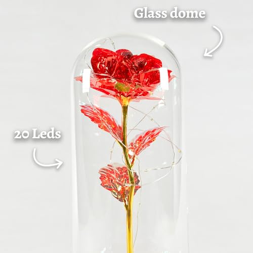 Eternal Rose with Led | Romantic Gift for Woman | Artificial Flower Beauty and the Beast | With Leds and Glass Bell | Gift Box Included | Valentine's Day, Mother's Day, Wedding | OriginalCorner® - Afbeelding 5