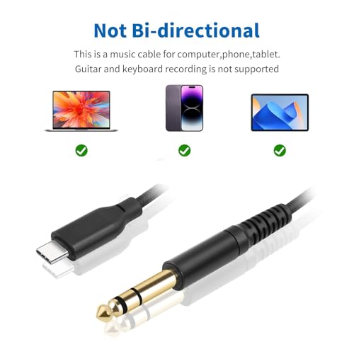 Cable USB C a Jack 6.35mm Macho 1 m miniatura 3