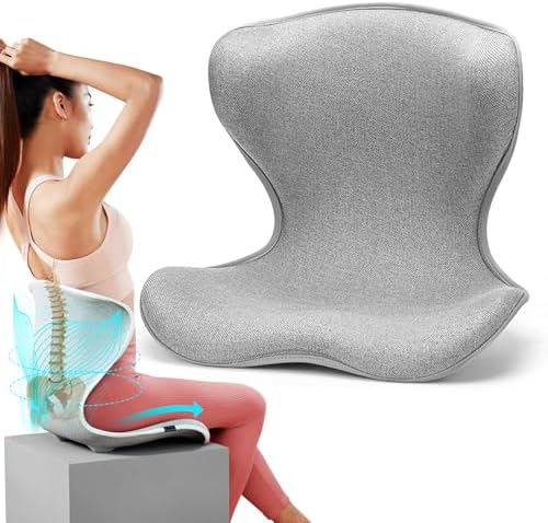 Ergonomic Back Cushion for Lower Pain Relief, Lumbar Support for ...