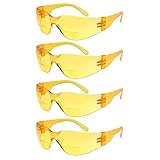 Gamma Ray Bifocal Reading Safety Glasses Readers