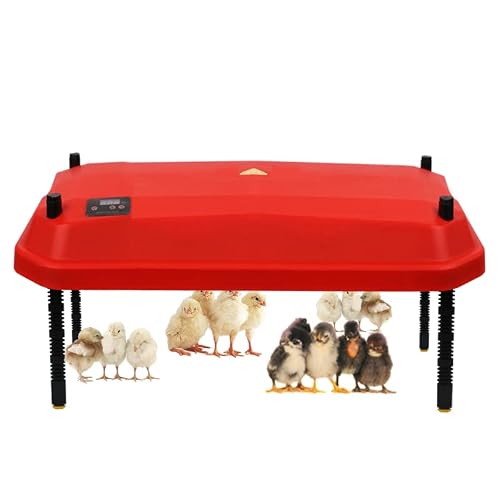 KIRLULU - KIRLULU Incubateur d'œufs, Lampe chauffante pour Poussins, Chauffage, couveuse de volaille, Lampe chauffante pour Thermostat de Poussins, 50 Poussins