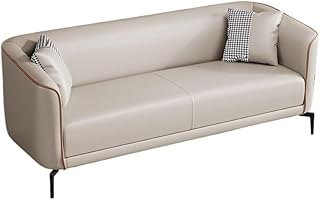 DorkTees Sofa Chair Simple Sofa Small Apartment Rental Double Lazy Living Room Hair Salon Waiting Chair Couches for Living Room