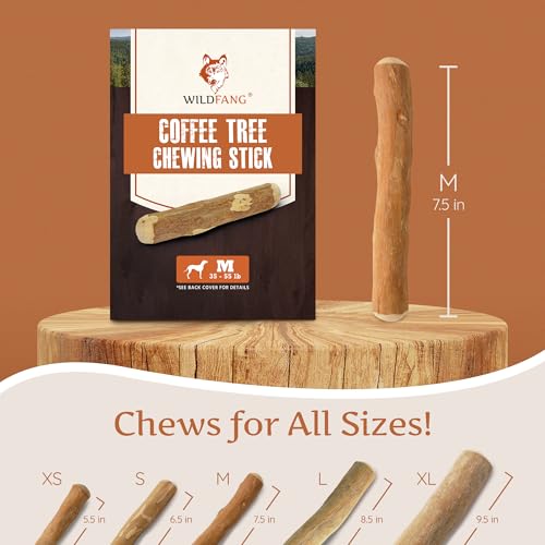 Wildfang® Coffee Wood Dog Chew, Medium - Tough Chew Toys for Aggressive Chewers, Dog Teething Toys for Puppies, Training for Chewing Muscles, Coffee Tree Sticks for Medium Dogs (33-55 lbs)