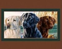 FlashPhoenix Quality Sewing Fabric - Lab Trio Digital Panel 100% Cotton Quilt Fabric 36 x 44