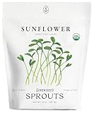 Organic Sunflower Sprout Seeds (8 oz) – Non-GMO, Heirloom Seeds for Sprouting and Microgreens