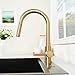 Hotis Gold Kitchen Faucet with Pull Down Sprayer, High Arc Stainless Steel Sink Faucet, Brushed Gold Bar Faucet Fit for 1 Hole Sink, Easy Install for Kitchen Farmhouse RV, HT-KBD101G