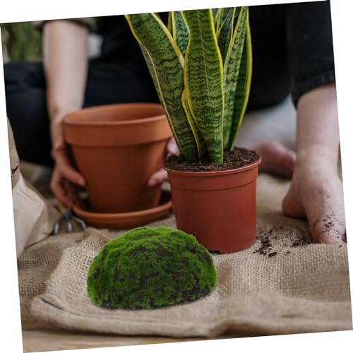 Décor de mousse verte pour composition végétale et décoration de gazon intérieur