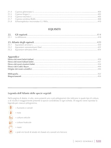 Graminacee, Ciperacee Ed Equiseti Nelle Colture Agrarie. Botanica E Riconoscimento - 11