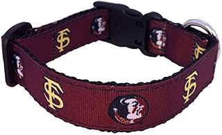 Collegiate Dog Collar (Large, Florida State)