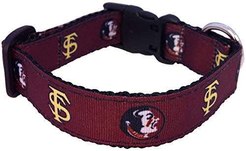Collier pour chien Collegiate S résout le problème de fuite des petits chiens