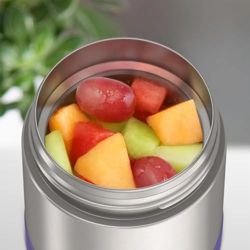 Image of THERMOS FUNTAINER Kids Food Jar, 10oz, Violet
