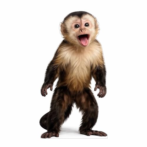 Funny Capuchin Monkey Cardboard Cutout Standee 2 ft Life Size Animal Standee Waterproof Corrugated Plastic with Back Support for Party Scene Event Display Photo Booth Decor