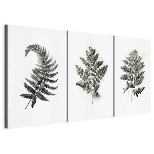 murando - Tableau triptyque Ensemble 120x60 cm (3 pièces de 40x60 cm chacune) – Tableau acoustique panneau insonorisant impression sur toile - Fougères en éventail – Feuilles vert b-H-10128-b-a