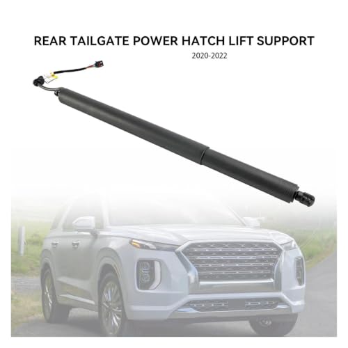 Vérins électriques de hayon bloqué : solution Hyundai Palisade 2020